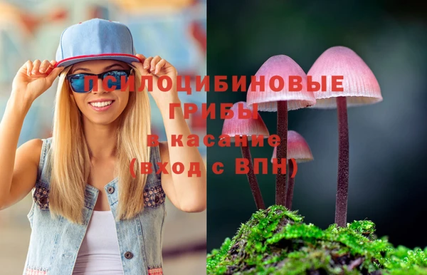 таблы Алексеевка