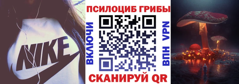 продажа наркотиков  Ипатово  Псилоцибиновые грибы Psilocybine cubensis 